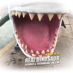 Animatronic Shark Manufacturer - Life-Size Indoor Metal Silicone