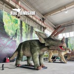 Animatronic Dinosaur Supplier - Customized Realistic T-rex Robotic