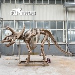 Dinosaur Skeleton Supplier - New Life-like Indoor Resin Model