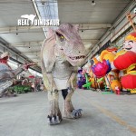 Animatronic Dinosaur Costume Supplier - Real High Quality Professional