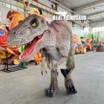 Animatronic Dinosaur Costume Supplier - Real High Quality Professional