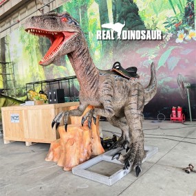 Dinosaur Ride Factory - Amusement Park Coin Operated Walking