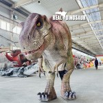 Animatronic Dinosaur Costume Supplier - Real High Quality Professional
