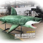 Animatronic Shark Manufacturer - Life-Size Indoor Metal Silicone
