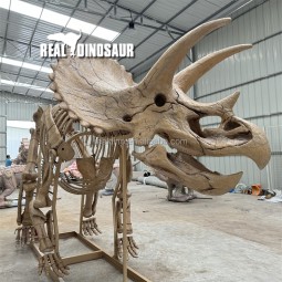 Dinosaur Skeleton Supplier - Zigong Maker T-rex Skeleton