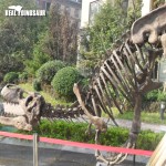 Dinosaur Fossil Factory - Life Size Extinction Fossil Skeleton