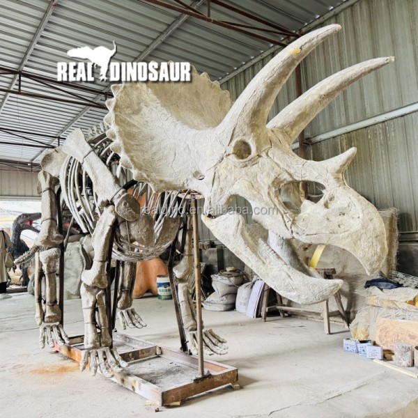 Dinosaur Sculpture Supplier - Fossil Manufacturer Skeleton Exhibit