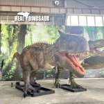 Animatronic Dinosaur Model Factory - Amusement Realistic Carnotaurus