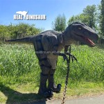 Animatronic Dinosaur Costume Manufacturer - Hot Sale Realistic Robot