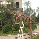 Dinosaur Skeleton Manufacturer - Realistic Jurassic World Replica