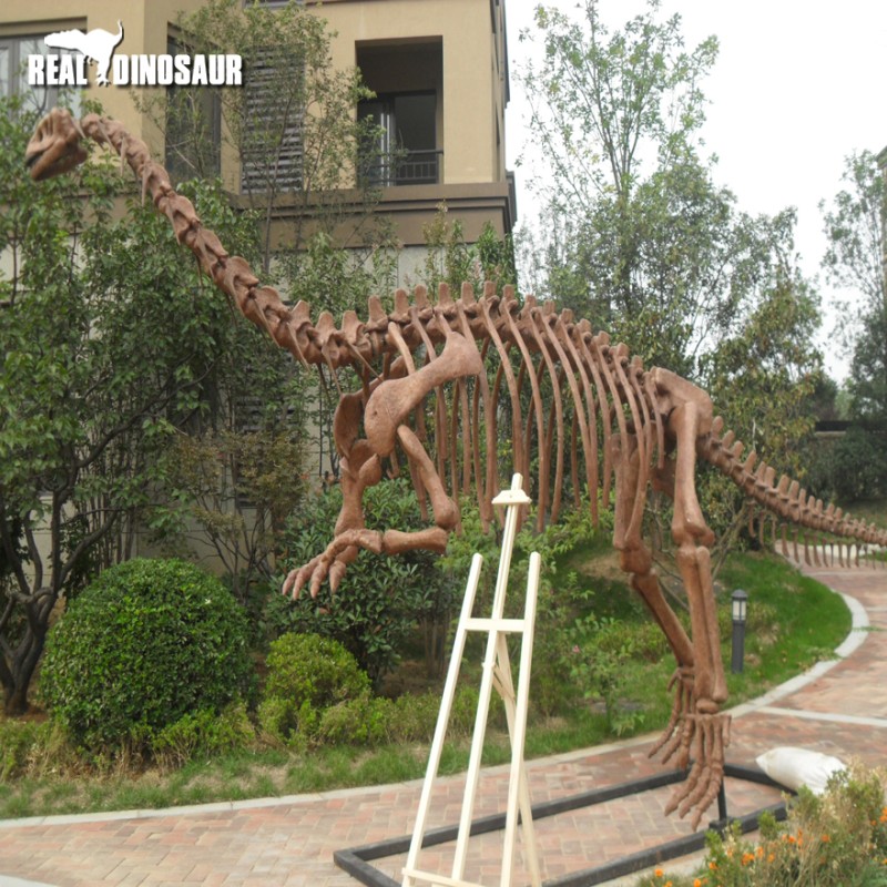 Dinosaur Skeleton Manufacturer - Realistic Jurassic World Replica