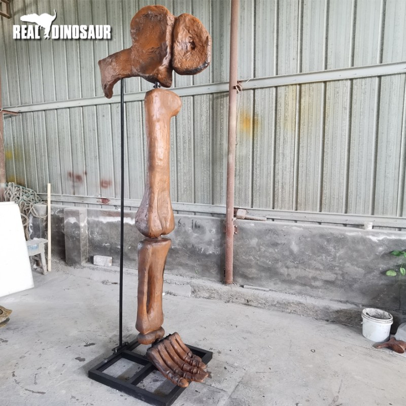 Dinosaur Fossil Factory - High Quality Museum Artificial Bone