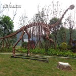 Dinosaur Skeleton Manufacturer - Realistic Jurassic World Replica