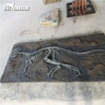Dinosaur Excavation Supplier - Discovery Fossils Site Children