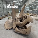 Dinosaur Skeleton Supplier - Zigong Maker T-rex Skeleton
