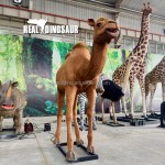 Animatronic Animal Manufacturer - Life Size Camel Simulation Model