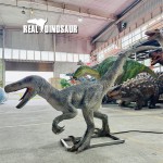 Animatronic Dinosaur Factory - Park Decoration Dinosaur for Sell