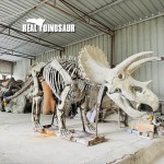 Dinosaur Sculpture Supplier - Fossil Manufacturer Skeleton Exhibit