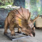Fiberglass Dinosaur Manufacturer - Life Size Triceretops Museum