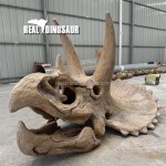 Fiberglass Dinosaur Manufacturer - Life Size T-Rex Skulls Decoration