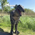 Animatronic Dinosaur Costume Manufacturer - Hot Sale Realistic Robot