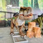 Dinosaur Ride Supplier - Shopping Mall Coin Operated Robot