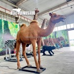 Animatronic Animal Manufacturer - Life Size Camel Simulation Model