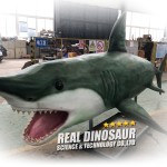 Animatronic Shark Manufacturer - Life-Size Indoor Metal Silicone