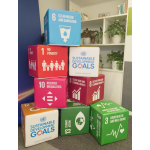 Learning Tools Manufacturer - Indoor Playground New Design Good Material