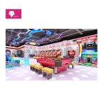 Indoor Amusement Park Supplier - Customizable Slides Ball Pools