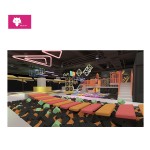 Indoor Amusement Equipment Manufacturer - Customized Inflatable Castle