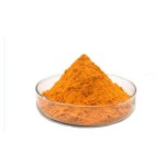 Wholesale Price CAS 83-88-5 Food Grade Vitamin B2 Powder Riboflavin Vitamin B2