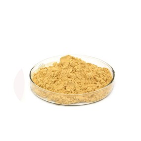 Manufacturers Supply Pigment Iron Oxide Yellow Powder for Ceramic Tiles
