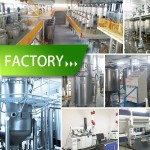 Food Grade Pure Vegan Vitamin D3 K2 Supplements Raw Materials Bulk Cholecalciferol 10000 Iu 50000iu Vitamin D3 Powder