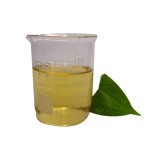 Wholesale Price Pure Fish Dha Algal Algae Oil omega 3 Food Grade Dha Oil