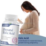Ausreson Iron Folic Acid Tablet Pill Halal Food Grade Organic Supplement Vitamin B9 600mg Folic Acid Tablets for Pregnant Women
