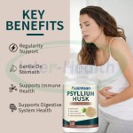 Herbal Fiber Supplement 500mg Psyllium Husk Extract Organic Bulk Psyllium Husk Capsules