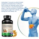 OEM Curcumin Turmeric Root Extract 95% Supplement Naturewise 95% Organic Curcumin Capsules