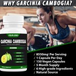 OEM Private Label Bulk Garcinia Cambogia Capsule Supplements Pure Slimming Products HCA Pills Garcinia Cambogia Extract Capsules