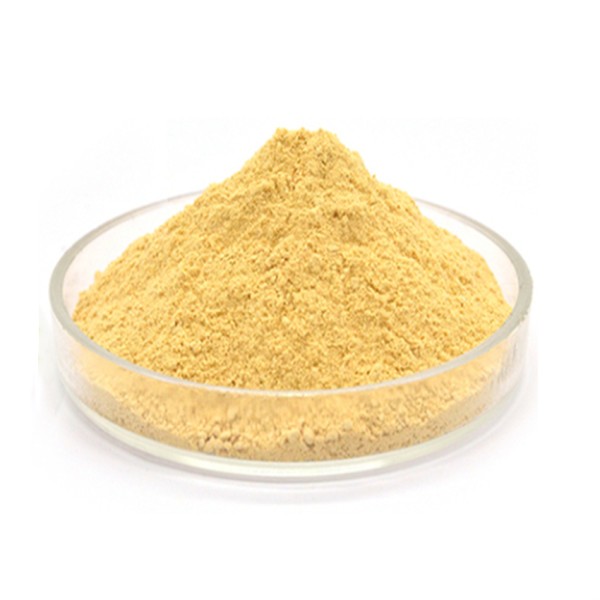 Wholesale Price Egg Yolk Extract Food Grade CAS 8001-17-0 Egg Yolk Powder