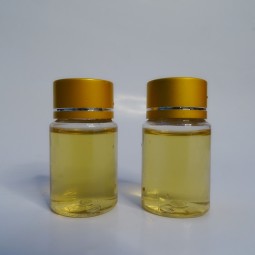 Wholesale Manufacturers Supply Bulk Refined Canola Oil Seeds Buy Canola Oil Price