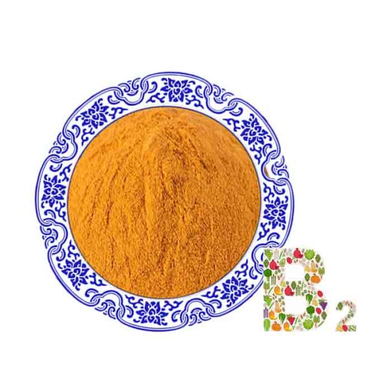 Wholesale Price CAS 83-88-5 Food Grade Vitamin B2 Powder Riboflavin Vitamin B2