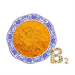Best Price Health Food Vitamin B2 (riboflavin) CAS 83-88-5 Riboflavin Powder Vitamin B2