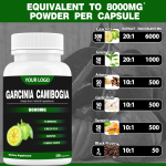 OEM Private Label Bulk Garcinia Cambogia Capsule Supplements Pure Slimming Products HCA Pills Garcinia Cambogia Extract Capsules