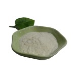 Factory Price Calcium Caseinate Pure Calcium Caseinate Powder