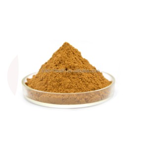 Wholesale Price Okra Seed Extract Powder Food Grade Bulk Dry Okra Powder