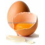 High Quality Egg Yolk Extract Powder Food Grade Lecithin Egg Yolk Powder Price