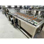Fruit Washer Factory - Green Vegetable Fruit Washer Air Bubble