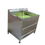 Vegetable Washer Factory - Industrial Fruit Vegetable Washer Ozone