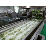 Air Bubble Washer Supplier - Tomato Mango Industrial Air Bubble